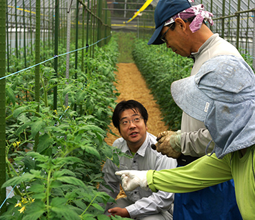 生産者と情報を共有し岡山県の「おいしいトマト」作りをリードすべく、日々JAびほく管内をまわり続けている筆者。