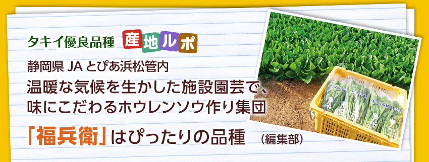 静岡県 JAとぴあ浜松管内　温暖な気候を生かした施設園芸で、味にこだわるホウレンソウ作り集団　「福兵衛」はぴったりの品種