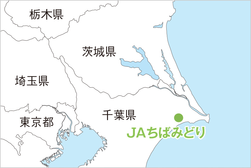 JAちばみどり