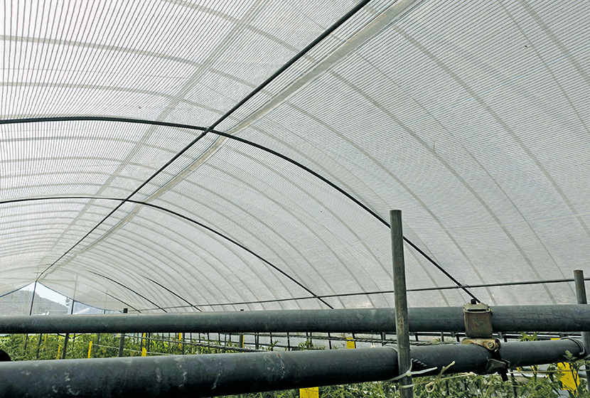 �Ռ����ނ̓�����n�E�X�Ȗʂ̒ʋC�����悭����ȂǁA�����ɑ΂��čk��I�ȑ΍���i�߂Ă���B