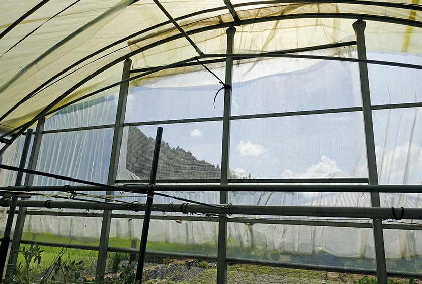 �Ռ����ނ̓�����n�E�X�Ȗʂ̒ʋC�����悭����ȂǁA�����ɑ΂��čk��I�ȑ΍���i�߂Ă���B