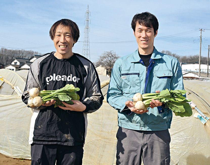 父の時代からカブを作り続け、自身はカブ部会の部会長を務める田中健一さん(左)と、JAいるま野販売部の柴田圭吾さん(取材時)。