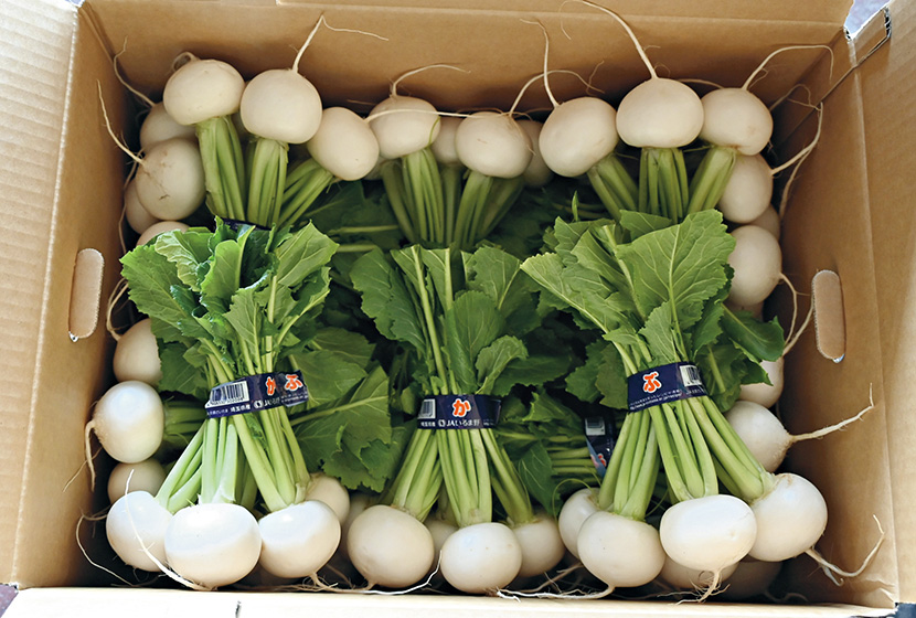 JAいるま野管内で生産・出荷された「ふゆばな」。束ねたカブの軸を内側にして、ダンボールに詰めて出荷する。
