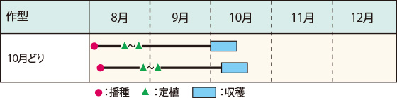 JA岩井のヒートガイの作型