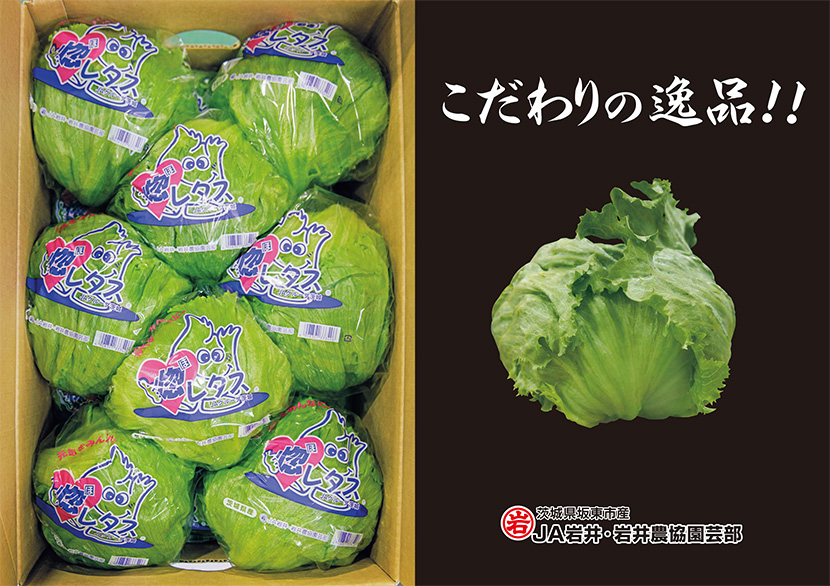 (左)検品では箱への詰め方も重視。見本として並べられた「ヒートガイ」。
(右)「こだわりの逸品!!」と「JA岩井・岩井農協園芸部」のマークが目を引くJA岩井の販促ポスター。