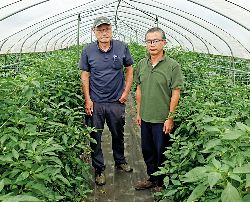 ������M�҂ƃs�[�}�����Y����L����x���̖ؖ{����x�����B