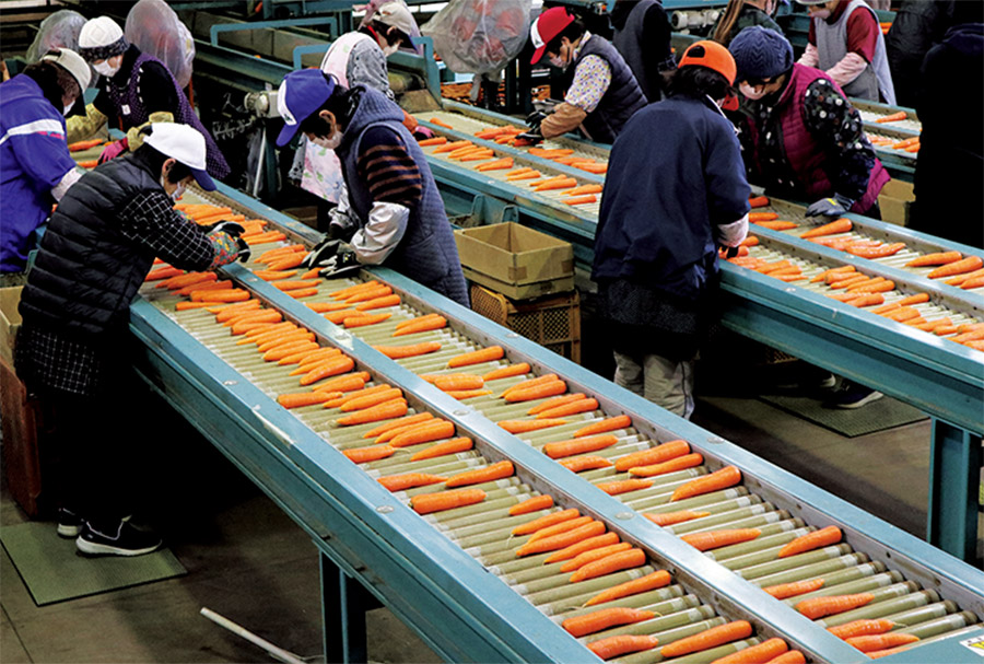 ڎŋKiOꂽAIʃCŋKiɕB