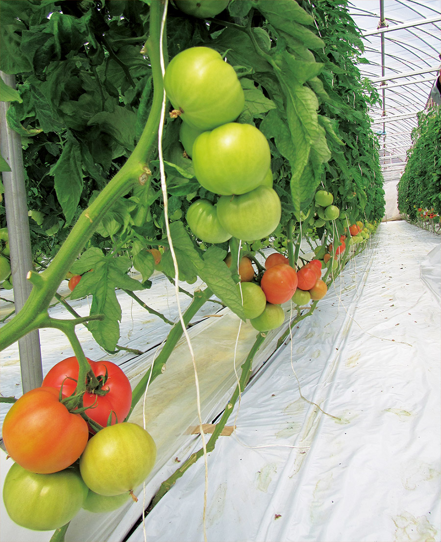 ʎpꂢȁuYuCgvBʂ낢AF܂肪悭ʂB