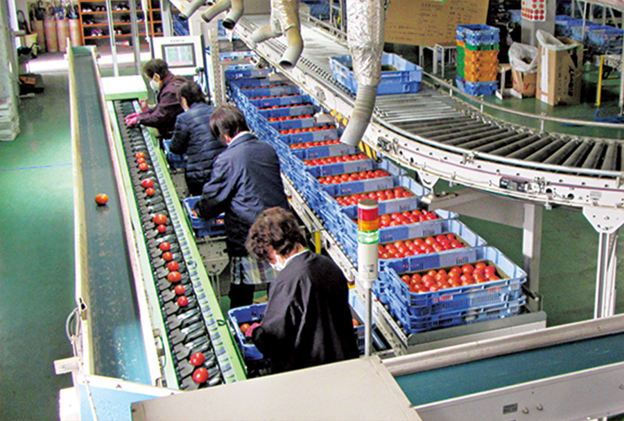 2004NȗAJA݂̂̃g}gIʂAs]߂Ăn̑Iʎ{݁B2026NT́uJ`S_ƂʕLWo׃Z^[vɈp邱Ƃ\肳ĂB