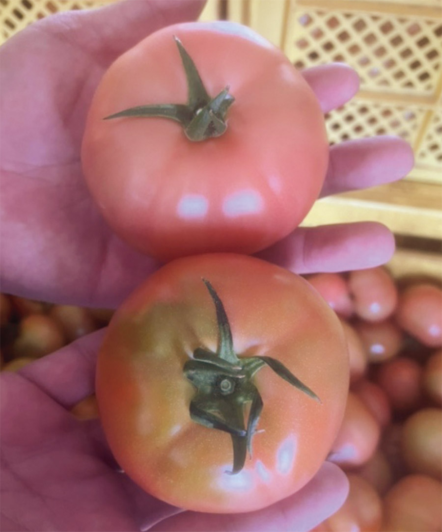 YuCgijƑiijBYuCg͋ψɒFAωʂɂȂɂB