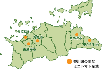 香川県の主なミニトマト産地