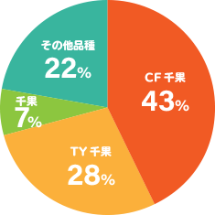平成30年産JA香川県ミニトマト品種割合