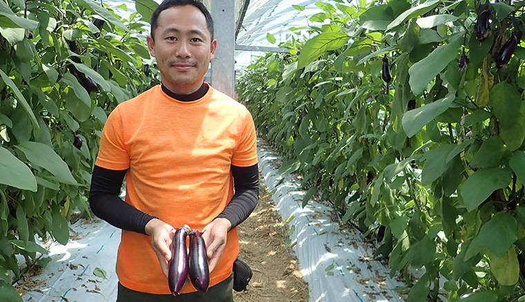 異業種で8年勤務ののちナス栽培に就農した高田健弘さん。「ＰＣ筑陽」を導入。