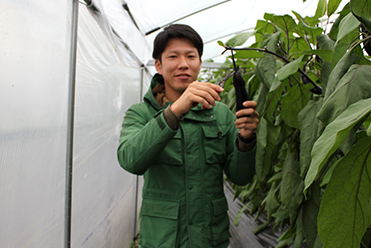 環境制御によるナス栽培に取り組む野田雄大さん。あぐりログ研究会という環境制御栽培の研究会にも席をおく若く熱心な生産者。ナス栽培も進化している。