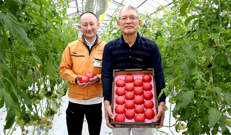 海津トマト部会鷲野耕治さん（右）とJAにしみの海津集出荷センター臼井祐一さん（左）。鷲野さんの「桃太郎ネクスト」圃場にて。