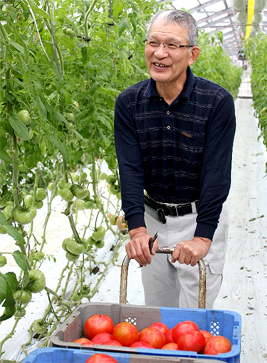 トマト栽培を始めて四十数年の鷲野さん。試作は「ネクスト」以外に「桃太郎ホープ」「桃太郎ピース」も栽培。「ネクスト」は大玉になり食味よく秀品率も高いと評価いただいている。