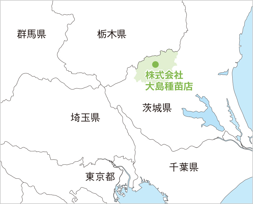 �i���j�哇��c�X