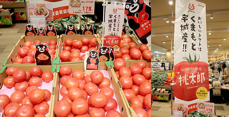 JA熊本うきの「桃太郎トマト」