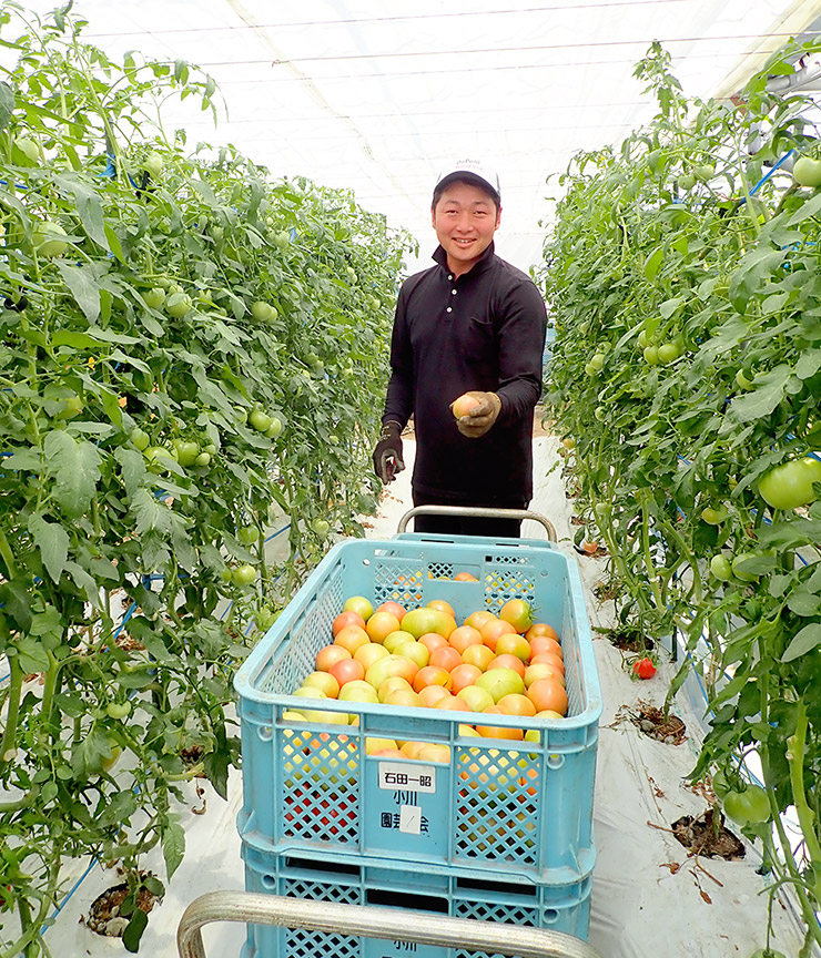 トマト専門部会役員でもある石田さん。今年から９月定植の長期作を「桃太郎ホープ」に切り替えた。