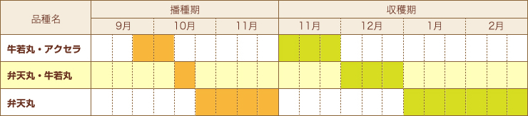 point3_area2data2