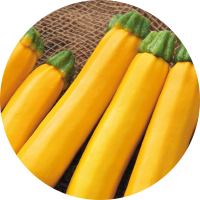 �Y�b�L�[�j�u�I�[����EX�v