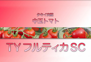 �u�i�����v���ʃg�}�g�@�^�L�C��z�@�wTY�t���e�B�JSC�x