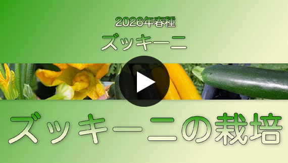 �Y�b�L�[�j�͔̍|�@����z�w�_�C�i�[EX�x�w�I�[����EX�x