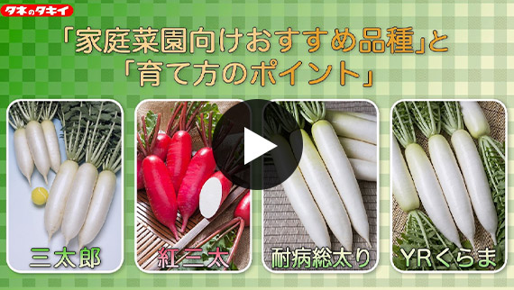 タキイ最前線 最前線WEB - タキイ種苗