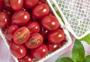 �_�앨�ɂ�����Z���`���E��Q�ƗΔ�ɂ��}������