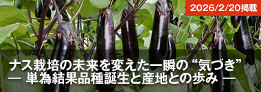 �i�X�͔|�̖�����ς�����u��&ldquo;�C�Â�&rdquo; �\ �P�׌��ʕi��a���ƎY�n�Ƃ̕��� �\