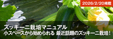 �Y�b�L�[�j�͔|�}�j���A���@���X�y�[�X����n�߂���@�ŋߘb��̃Y�b�L�[�j�͔|�I