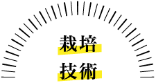 ͔|Zp