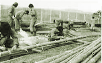 20cmの太い孟宗竹を取り寄せ、節を抜き、200mの長さに差し込み直します（1972年）。