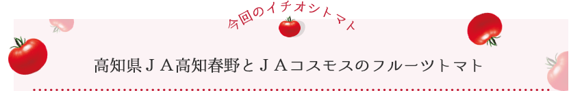【今回のイチオシトマト】高知県ＪＡ高知春野とＪＡコスモスのフルーツトマト