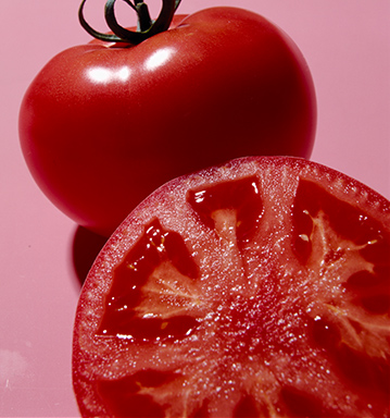完熟出荷できる桃色トマトの元祖「桃太郎」。高糖度で甘くておいしい。誕生以来シリーズ全体で30品種以上が開発されている。
