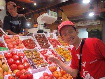 スペインの八百屋のトマトコーナー。日本のトマトと違い、大きさもボリューム満点。