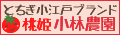 є_oi[N