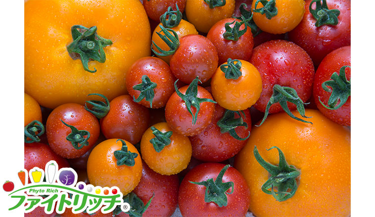 タキイの「ファイトリッチ」シリーズのトマト群