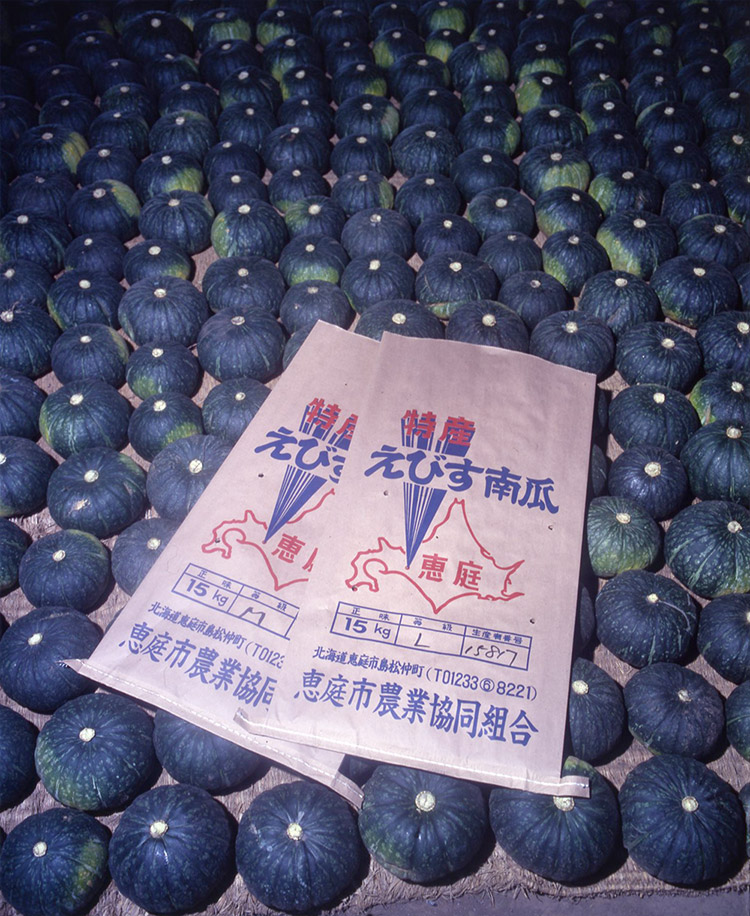 当時の出荷袋と「えびす」（1978年8月北海道恵庭市）。