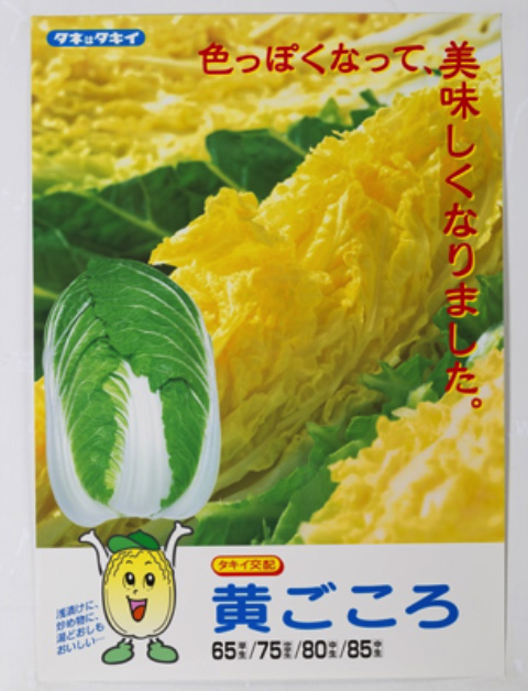 「黄ごころ65」「75」「80」が発表された当時の野菜ポスター。