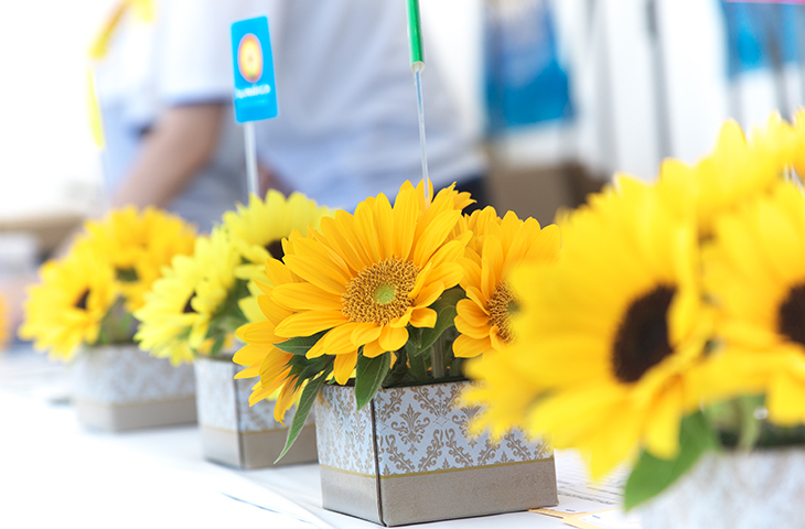 第二章 世界に切り花の新市場をつくりだす 切り花の新市場を創出した革新的ひまわり サンリッチ 品種プレイバッグ 過去記事一覧 品種ピックアップ 最前線web タキイ種苗