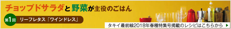 チョップドサラダと野菜が主役のごはん 第1回 リーフレタス「ワインドレス」