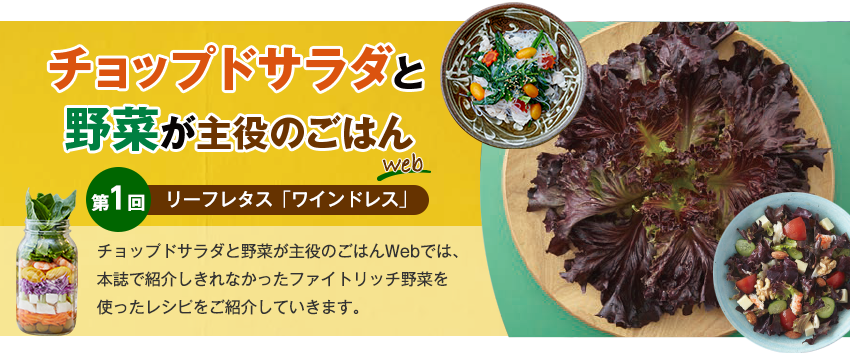 チョップドサラダと野菜が主役のごはんWeb 第1回 リーフレタス「ワインドレス」
