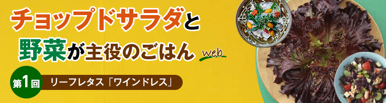 チョップドサラダと野菜が主役のごはんWeb 第1回 リーフレタス「ワインドレス」
