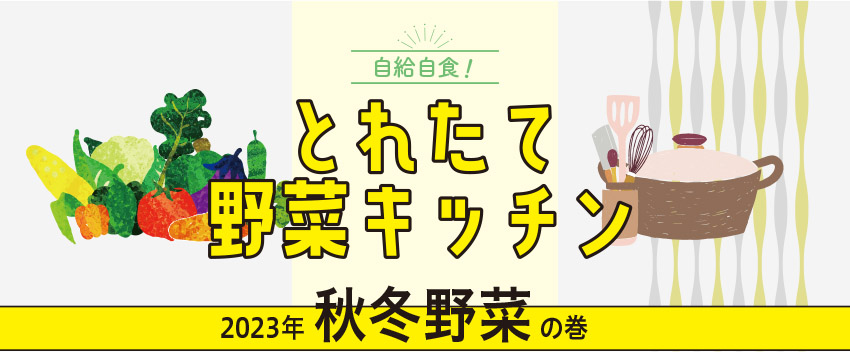 とれたて野菜キッチン