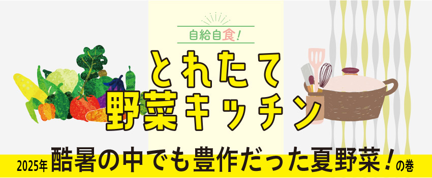 �Ƃꂽ�Ė�؃L�b�`�� 2025�N �����̒��ł��L�삾�����Ė�؁I�̊�