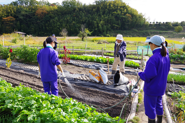 岡さんの畑では、農村体験に来た子供たちや家族のために無農薬で野菜や花を栽培している。