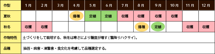 nNTCFW0`1,000mAIn