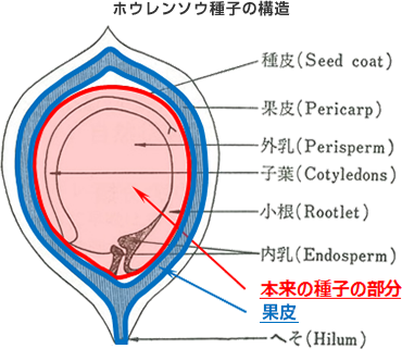 zE\Eq̍\