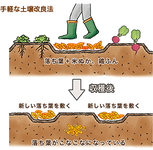 手軽な土壌改良法